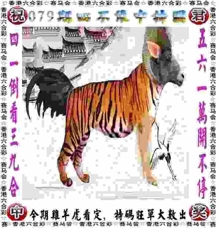 学霸、歌手、网红……奥运赛场上中国代表团的“六边形战士”